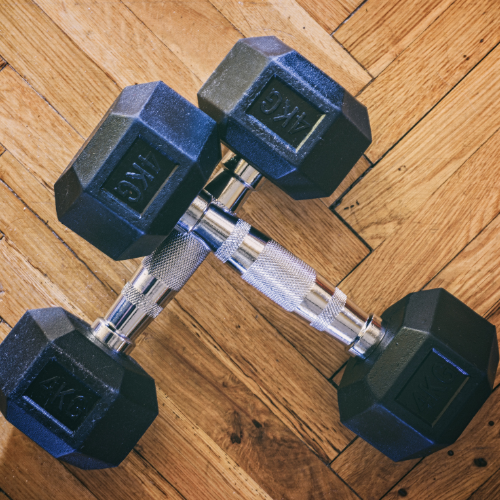 Dambıl Seti – Evde Spor İçin